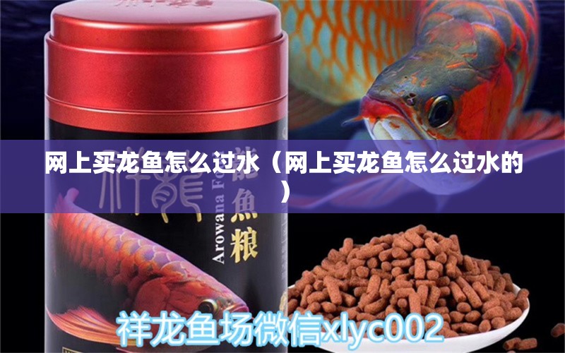 網(wǎng)上買龍魚怎么過水（網(wǎng)上買龍魚怎么過水的）