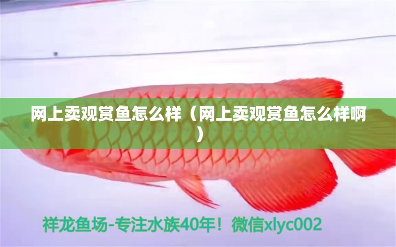 網(wǎng)上賣觀賞魚怎么樣（網(wǎng)上賣觀賞魚怎么樣?。?網(wǎng)上購買觀賞魚