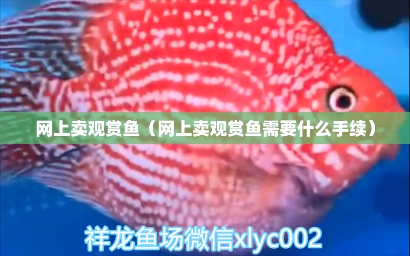 網(wǎng)上賣觀賞魚（網(wǎng)上賣觀賞魚需要什么手續(xù)） 網(wǎng)上購買觀賞魚