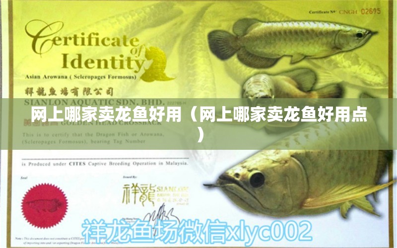 網(wǎng)上哪家賣(mài)龍魚(yú)好用（網(wǎng)上哪家賣(mài)龍魚(yú)好用點(diǎn)）