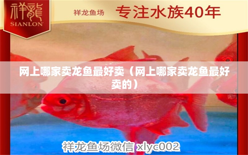 網(wǎng)上哪家賣龍魚最好賣（網(wǎng)上哪家賣龍魚最好賣的）