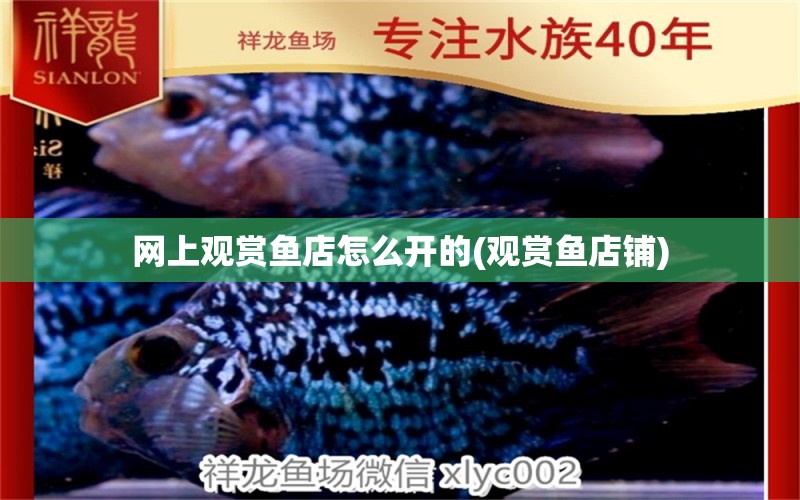 網(wǎng)上觀賞魚店怎么開(kāi)的(觀賞魚店鋪) 魚缸水質(zhì)穩(wěn)定劑