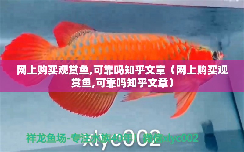 網(wǎng)上購買觀賞魚,可靠嗎知乎文章（網(wǎng)上購買觀賞魚,可靠嗎知乎文章） 網(wǎng)上購買觀賞魚