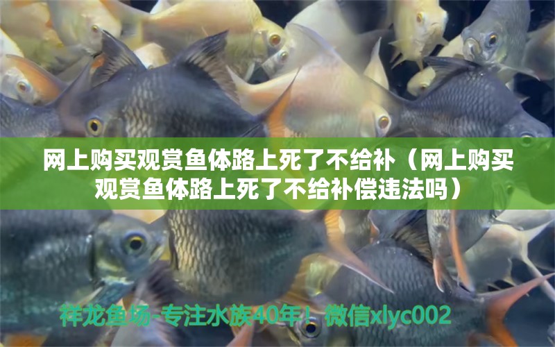 網(wǎng)上購(gòu)買(mǎi)觀賞魚(yú)體路上死了不給補(bǔ)（網(wǎng)上購(gòu)買(mǎi)觀賞魚(yú)體路上死了不給補(bǔ)償違法嗎）