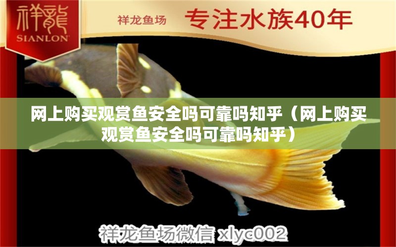 網(wǎng)上購買觀賞魚安全嗎可靠嗎知乎（網(wǎng)上購買觀賞魚安全嗎可靠嗎知乎）