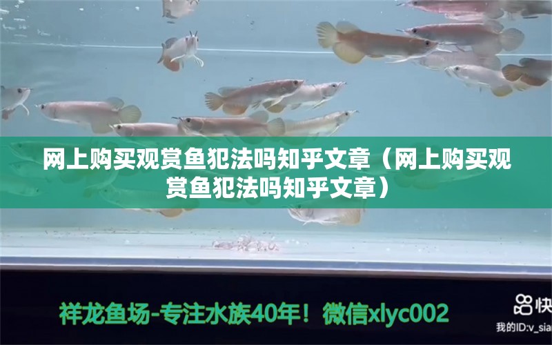 網(wǎng)上購買觀賞魚犯法嗎知乎文章（網(wǎng)上購買觀賞魚犯法嗎知乎文章）