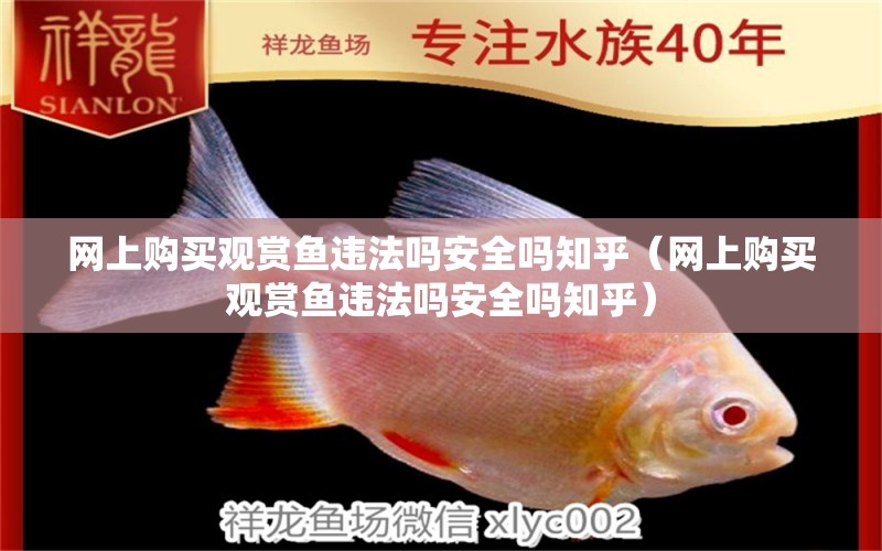 網(wǎng)上購買觀賞魚違法嗎安全嗎知乎（網(wǎng)上購買觀賞魚違法嗎安全嗎知乎） 網(wǎng)上購買觀賞魚