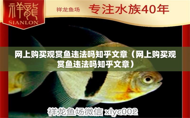 網(wǎng)上購(gòu)買觀賞魚違法嗎知乎文章（網(wǎng)上購(gòu)買觀賞魚違法嗎知乎文章）