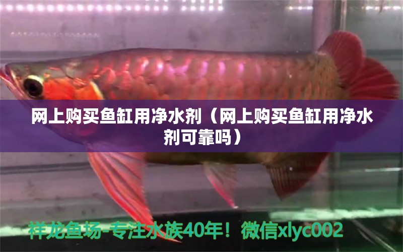 網(wǎng)上購買魚缸用凈水劑（網(wǎng)上購買魚缸用凈水劑可靠嗎） 祥龍水族醫(yī)院