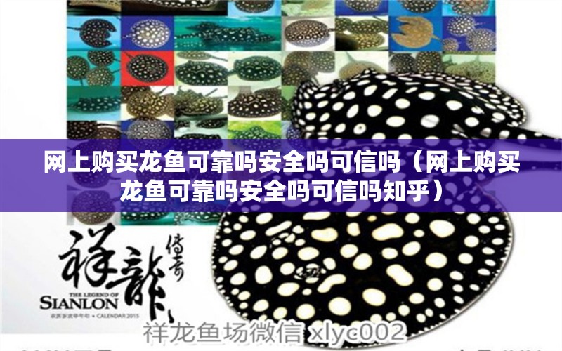 網上購買龍魚可靠嗎安全嗎可信嗎（網上購買龍魚可靠嗎安全嗎可信嗎知乎）