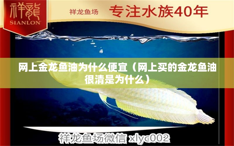 網上金龍魚油為什么便宜（網上買的金龍魚油很清是為什么） 廣州龍魚批發(fā)市場