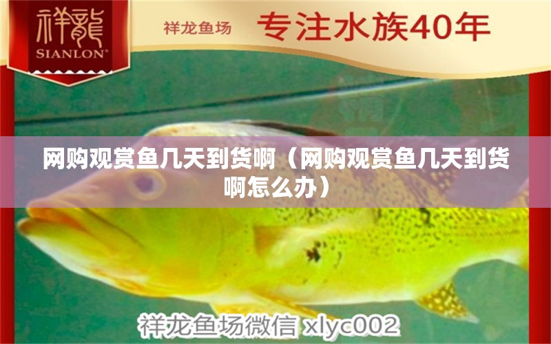 網(wǎng)購(gòu)觀賞魚幾天到貨?。ňW(wǎng)購(gòu)觀賞魚幾天到貨啊怎么辦）