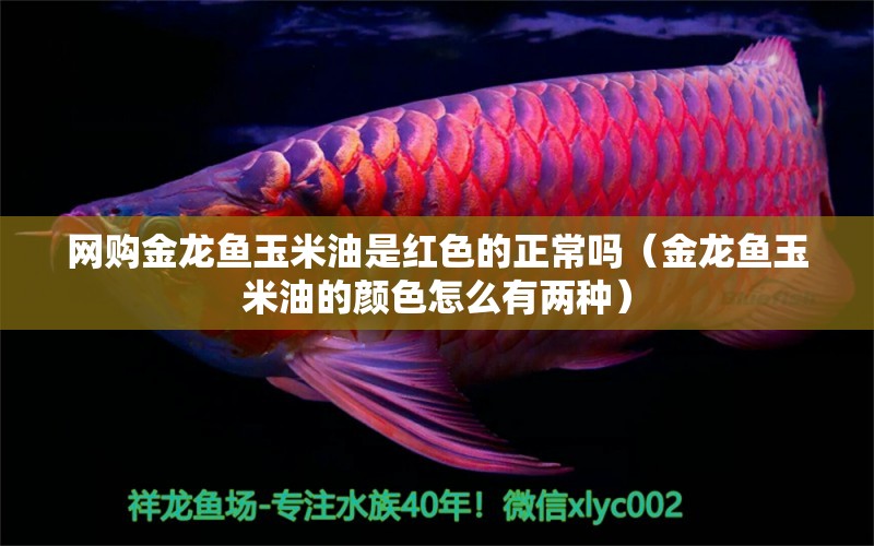 網(wǎng)購金龍魚玉米油是紅色的正常嗎（金龍魚玉米油的顏色怎么有兩種） 網(wǎng)上購買觀賞魚