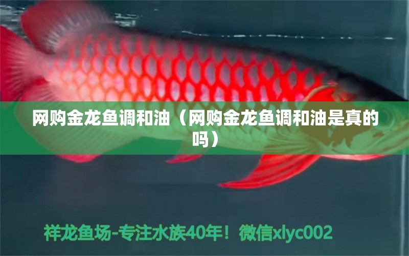 網(wǎng)購金龍魚調(diào)和油（網(wǎng)購金龍魚調(diào)和油是真的嗎）