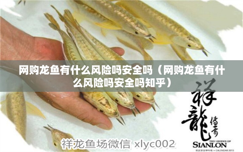 網(wǎng)購(gòu)龍魚有什么風(fēng)險(xiǎn)嗎安全嗎（網(wǎng)購(gòu)龍魚有什么風(fēng)險(xiǎn)嗎安全嗎知乎） 網(wǎng)上購(gòu)買觀賞魚