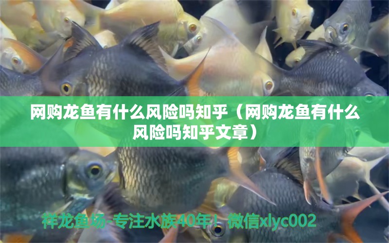 網(wǎng)購龍魚有什么風(fēng)險(xiǎn)嗎知乎（網(wǎng)購龍魚有什么風(fēng)險(xiǎn)嗎知乎文章）