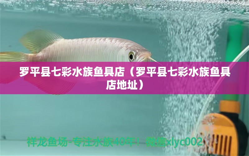 羅平縣七彩水族魚具店（羅平縣七彩水族魚具店地址） 全國水族館企業(yè)名錄