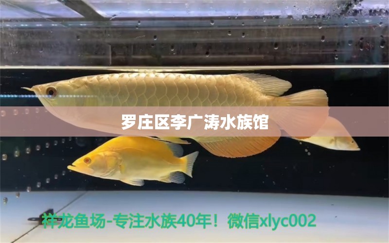 羅莊區(qū)李廣濤水族館 全國水族館企業(yè)名錄