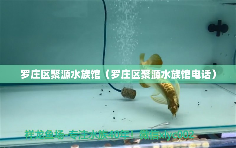 羅莊區(qū)聚源水族館（羅莊區(qū)聚源水族館電話） 全國水族館企業(yè)名錄