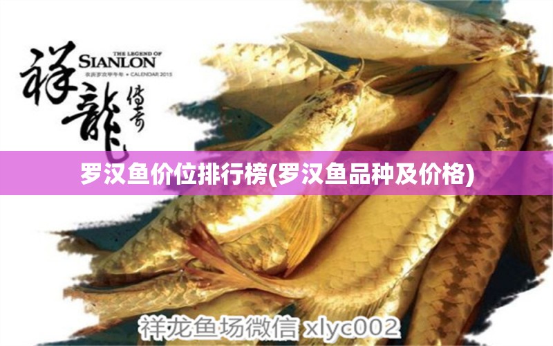 羅漢魚價位排行榜(羅漢魚品種及價格) 羅漢魚