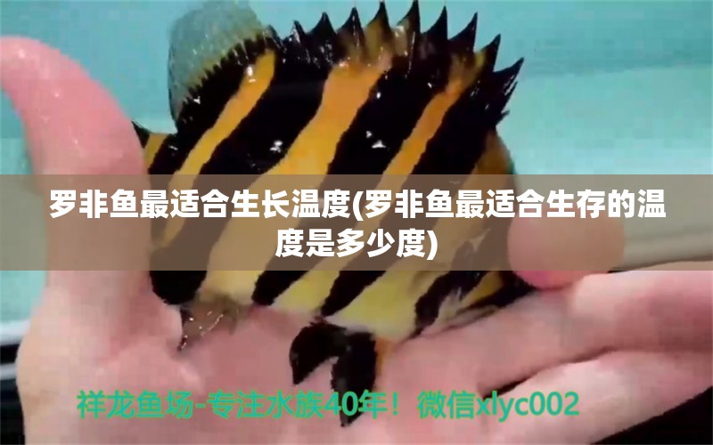 羅非魚最適合生長溫度(羅非魚最適合生存的溫度是多少度) 雙線側(cè)魚