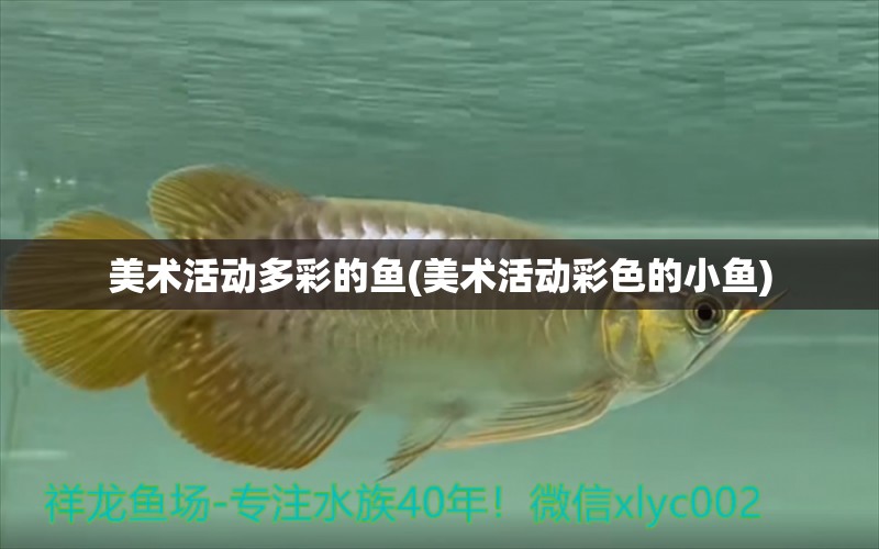 美術(shù)活動多彩的魚(美術(shù)活動彩色的小魚) 馬拉莫寶石魚苗