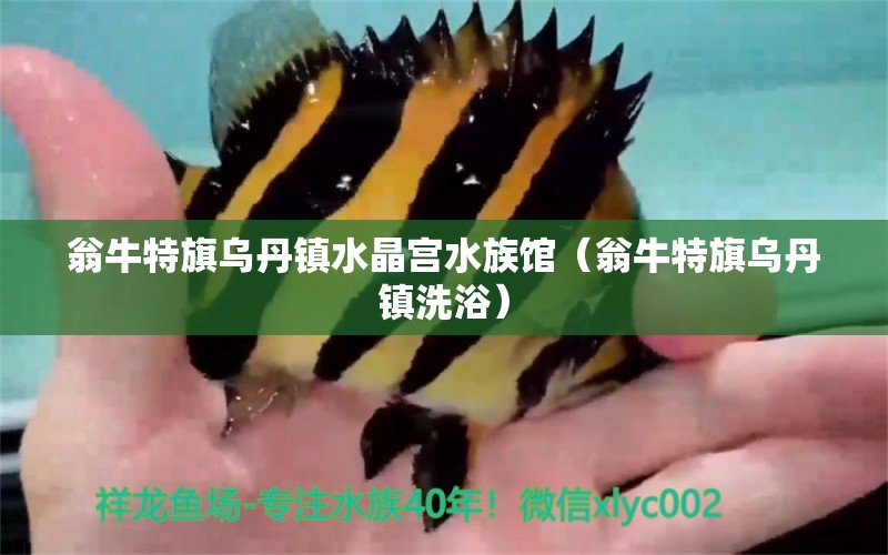 翁牛特旗烏丹鎮(zhèn)水晶宮水族館（翁牛特旗烏丹鎮(zhèn)洗?。?全國水族館企業(yè)名錄