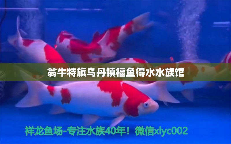 翁牛特旗烏丹鎮(zhèn)福魚得水水族館 全國水族館企業(yè)名錄