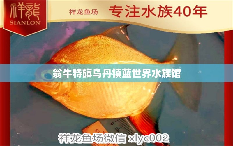 翁牛特旗烏丹鎮(zhèn)藍(lán)世界水族館 全國水族館企業(yè)名錄