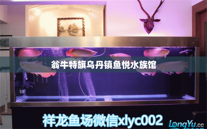 翁牛特旗烏丹鎮(zhèn)魚悅水族館