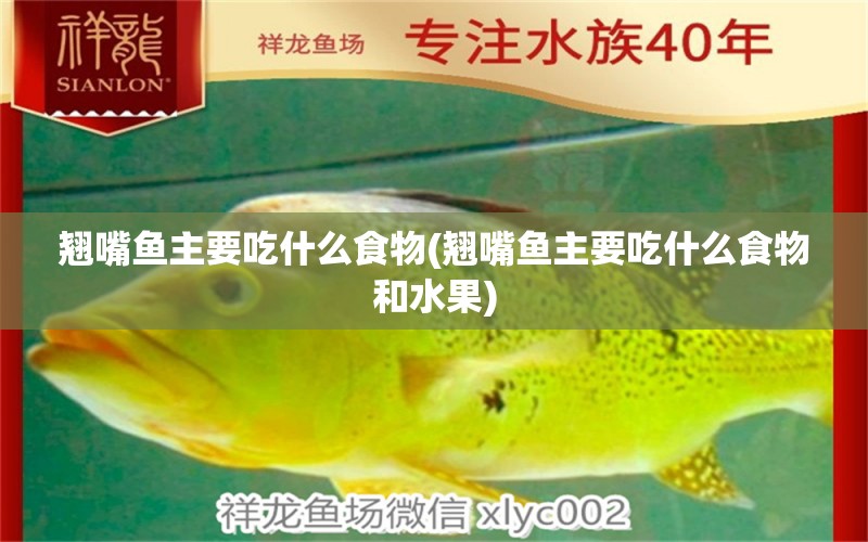 翹嘴魚主要吃什么食物(翹嘴魚主要吃什么食物和水果) 潛水泵