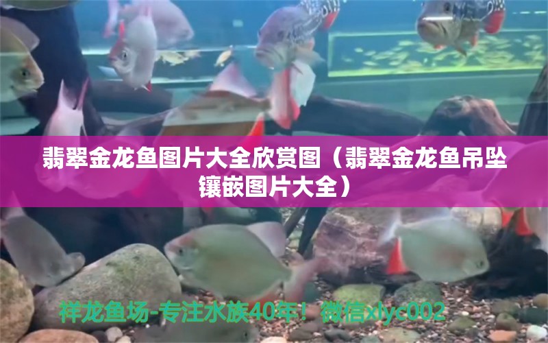 翡翠金龍魚圖片大全欣賞圖（翡翠金龍魚吊墜鑲嵌圖片大全）