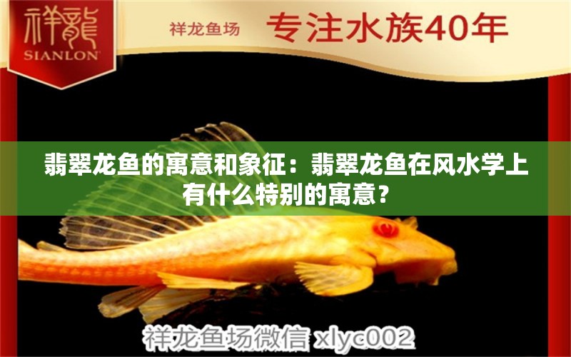 翡翠龍魚的寓意和象征：翡翠龍魚在風(fēng)水學(xué)上有什么特別的寓意？ 水族問答 第1張