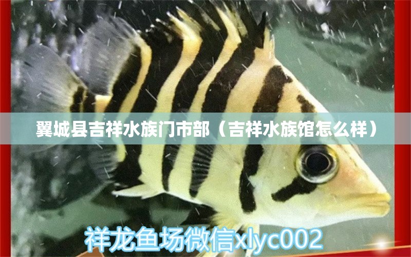 翼城縣吉祥水族門市部（吉祥水族館怎么樣）