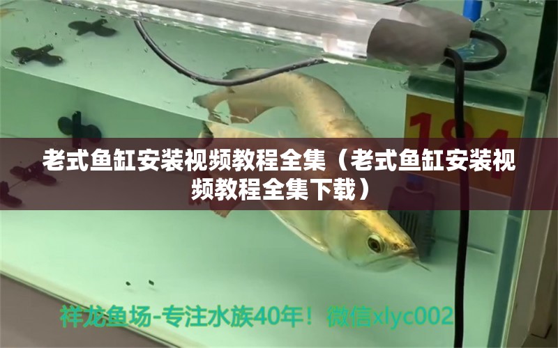 老式魚缸安裝視頻教程全集（老式魚缸安裝視頻教程全集下載） 祥龍水族醫(yī)院