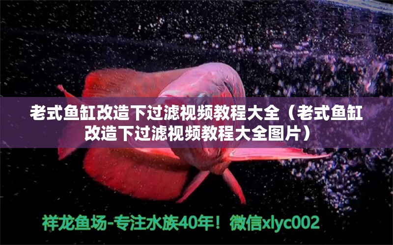 老式魚缸改造下過濾視頻教程大全（老式魚缸改造下過濾視頻教程大全圖片） 量子養(yǎng)魚技術(shù)