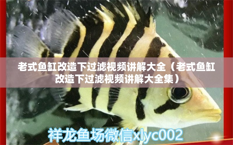 老式魚缸改造下過濾視頻講解大全（老式魚缸改造下過濾視頻講解大全集） 觀賞魚魚苗