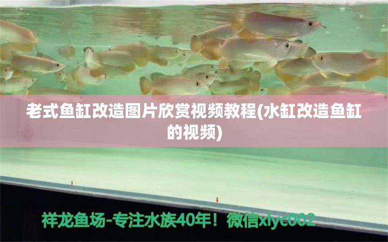 老式魚缸改造圖片欣賞視頻教程(水缸改造魚缸的視頻) 魚缸定做