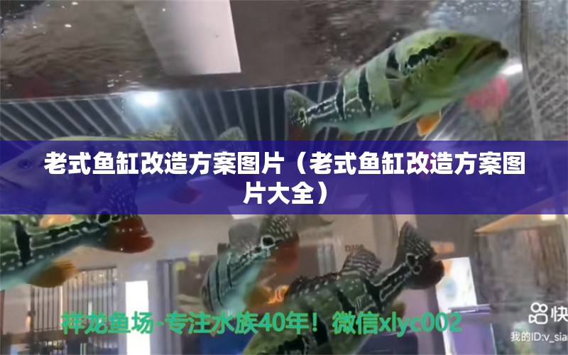 老式魚缸改造方案圖片（老式魚缸改造方案圖片大全）