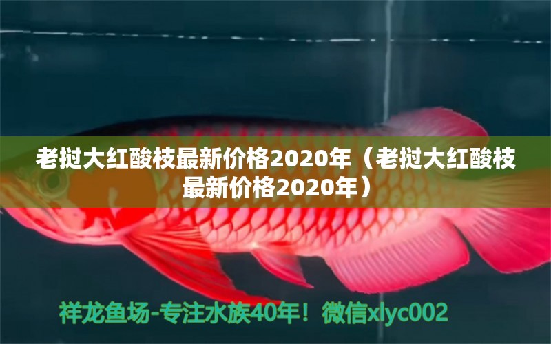 老撾大紅酸枝最新價格2020年（老撾大紅酸枝最新價格2020年）