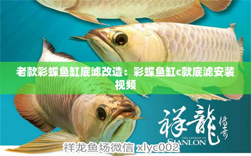 老款彩蝶魚缸底濾改造：彩蝶魚缸c款底濾安裝視頻