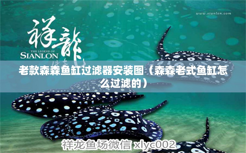 老款森森魚缸過濾器安裝圖（森森老式魚缸怎么過濾的）