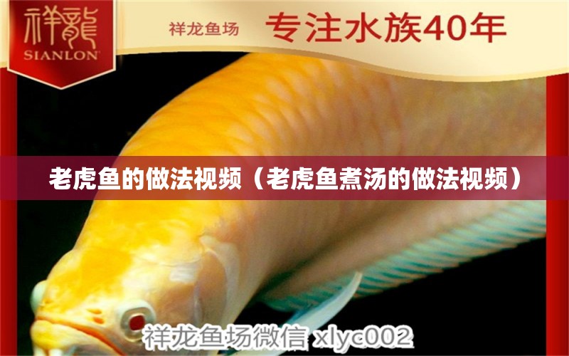 老虎魚(yú)的做法視頻（老虎魚(yú)煮湯的做法視頻） 虎魚(yú)百科