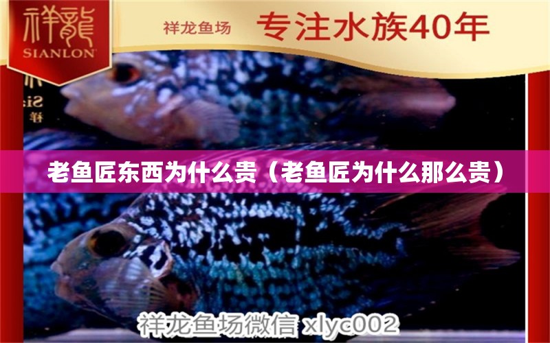 老魚匠東西為什么貴（老魚匠為什么那么貴）