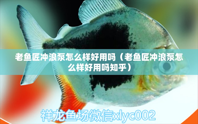 老魚匠沖浪泵怎么樣好用嗎（老魚匠沖浪泵怎么樣好用嗎知乎）