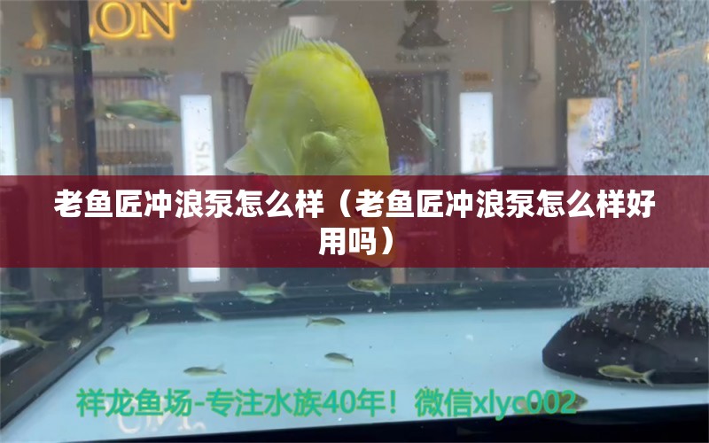 老魚匠沖浪泵怎么樣（老魚匠沖浪泵怎么樣好用嗎） 老魚匠