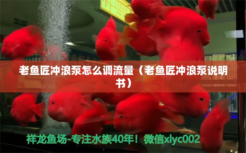 老魚匠沖浪泵怎么調(diào)流量（老魚匠沖浪泵說(shuō)明書）