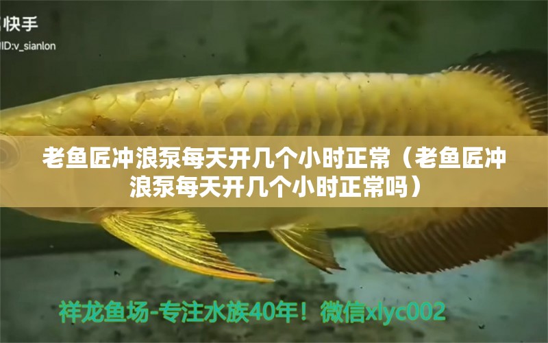 老魚匠沖浪泵每天開幾個(gè)小時(shí)正常（老魚匠沖浪泵每天開幾個(gè)小時(shí)正常嗎）