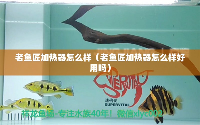 老魚匠加熱器怎么樣（老魚匠加熱器怎么樣好用嗎） 老魚匠 第2張