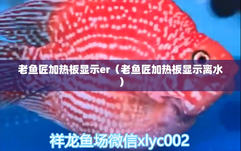 老魚匠加熱板顯示er（老魚匠加熱板顯示離水）